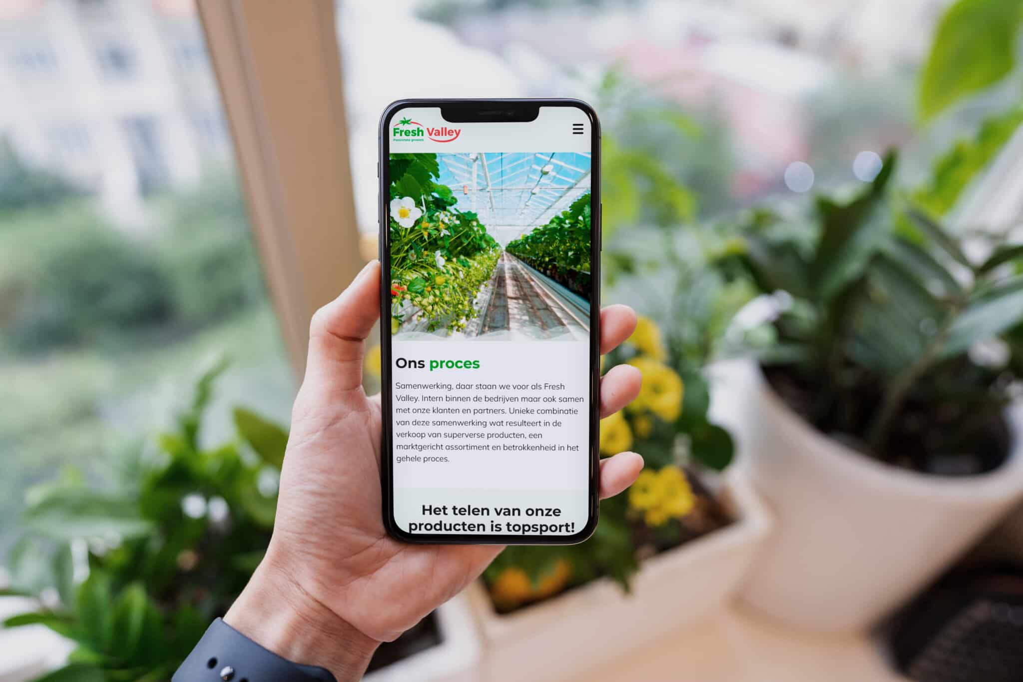 Fresh Valley iPhone Seite Prozess