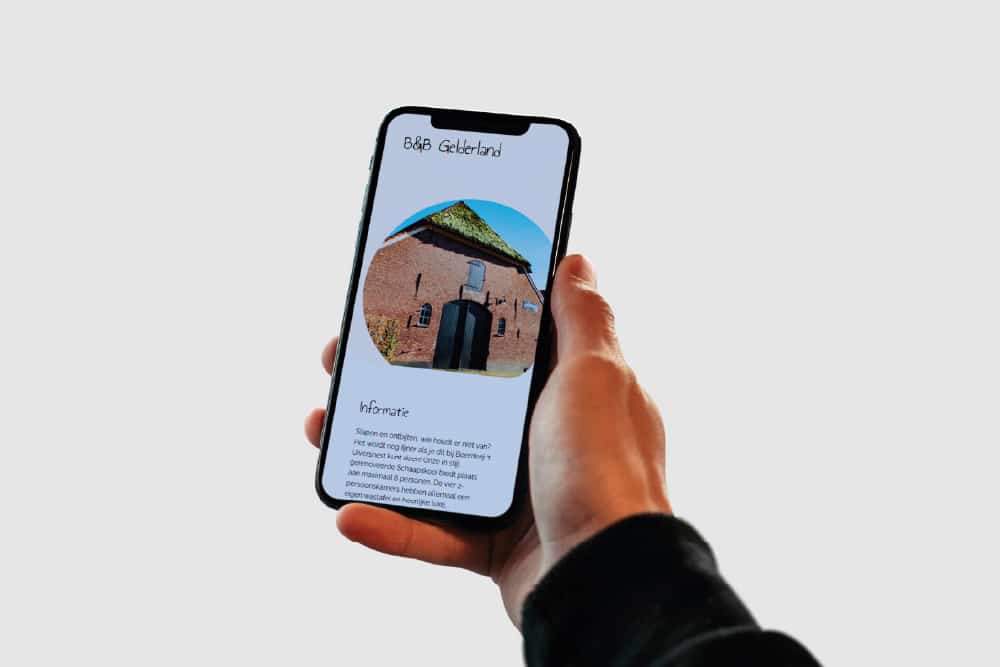 Website erstellen lassen uiversnest2