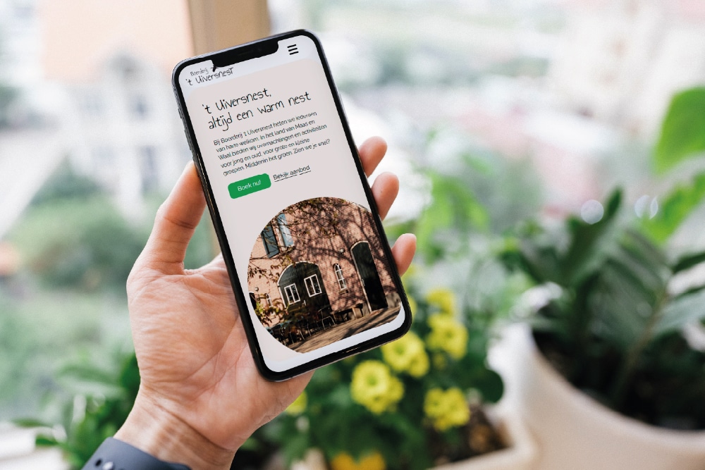 Website erstellen lassen uiversnest4